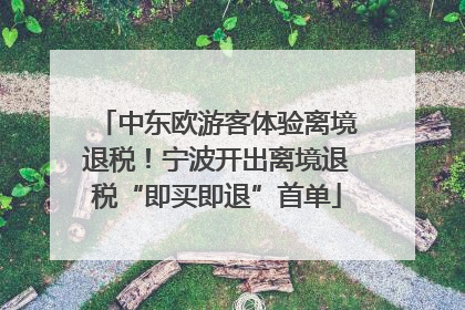 中东欧游客体验离境退税！宁波开出离境退税“即买即退”首单