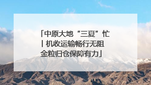 中原大地“三夏”忙丨机收运输畅行无阻 金粒归仓保障有力