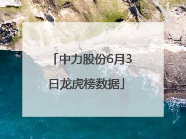 中力股份6月3日龙虎榜数据