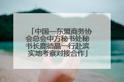 中国—东盟商务协会总会中方秘书处秘书长鹿德晶一行赴滨实地考察对接合作