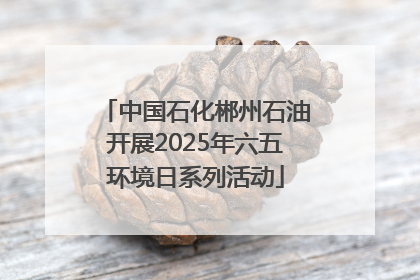 中国石化郴州石油开展2025年六五环境日系列活动