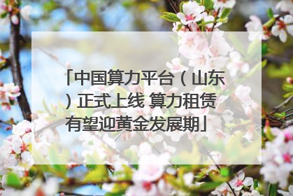 中国算力平台（山东）正式上线 算力租赁有望迎黄金发展期