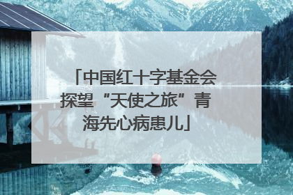 中国红十字基金会探望“天使之旅”青海先心病患儿