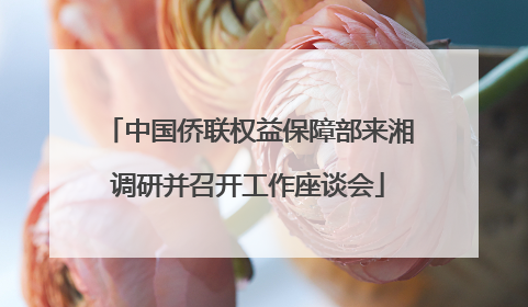 中国侨联权益保障部来湘调研并召开工作座谈会