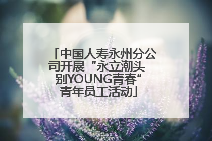 中国人寿永州分公司开展“永立潮头 别YOUNG青春”青年员工活动