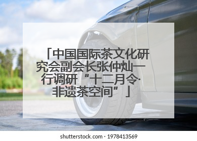 中国国际茶文化研究会副会长张仲灿一行调研“十二月令·非遗茶空间”