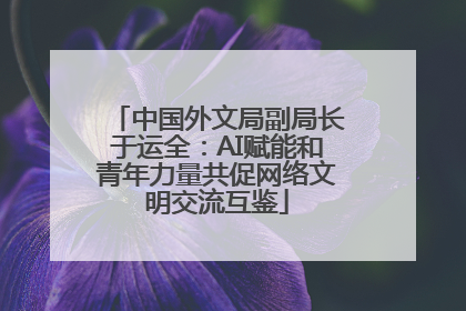 中国外文局副局长于运全：AI赋能和青年力量共促网络文明交流互鉴