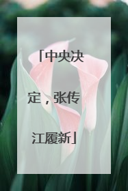 中央决定，张传江履新