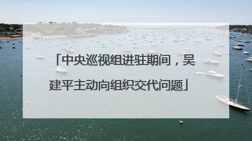 中央巡视组进驻期间，吴建平主动向组织交代问题