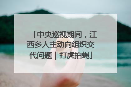 中央巡视期间，江西多人主动向组织交代问题｜打虎拍蝇