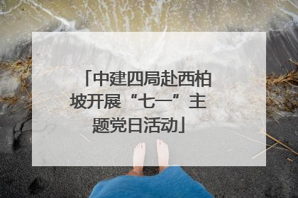 中建四局赴西柏坡开展“七一”主题党日活动