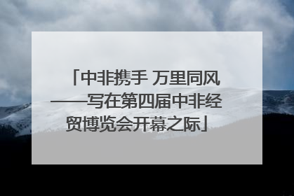 中非携手 万里同风——写在第四届中非经贸博览会开幕之际