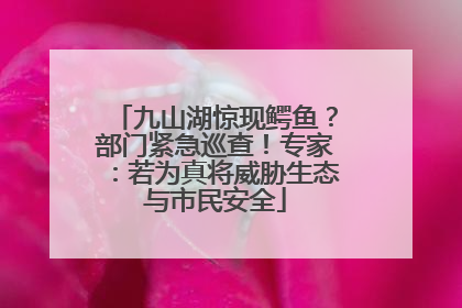 九山湖惊现鳄鱼？部门紧急巡查！专家：若为真将威胁生态与市民安全