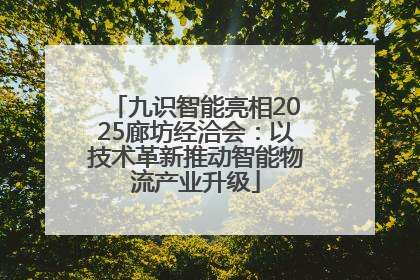 九识智能亮相2025廊坊经洽会：以技术革新推动智能物流产业升级