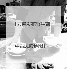 云南发布野生菌中毒风险地图