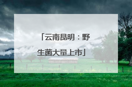 云南昆明：野生菌大量上市