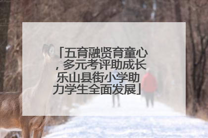 五育融贤育童心，多元考评助成长 乐山县街小学助力学生全面发展