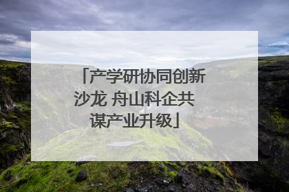 产学研协同创新沙龙 舟山科企共谋产业升级