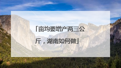 亩均要增产两三公斤，湖南如何做