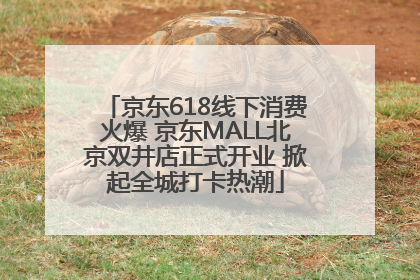 京东618线下消费火爆 京东MALL北京双井店正式开业 掀起全城打卡热潮
