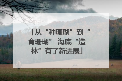 从“种珊瑚”到“育珊瑚” 海底“造林”有了新进展