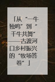 从“一牛独鸣”到“千牛共舞”——古渡河口乡村振兴的“牧场答卷”