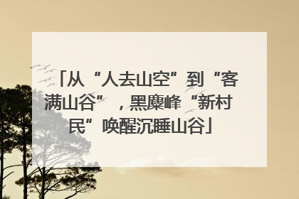 从“人去山空”到“客满山谷”，黑麋峰“新村民”唤醒沉睡山谷