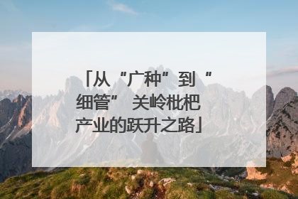 从“广种”到“细管” 关岭枇杷产业的跃升之路