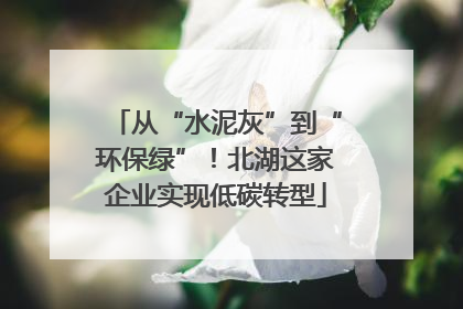 从“水泥灰”到“环保绿”！北湖这家企业实现低碳转型