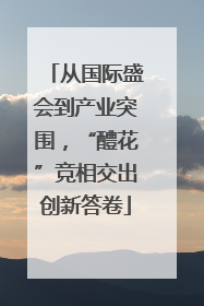从国际盛会到产业突围，“醴花”竞相交出创新答卷