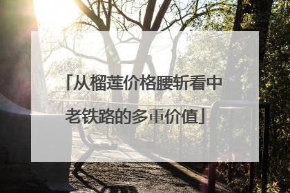 从榴莲价格腰斩看中老铁路的多重价值