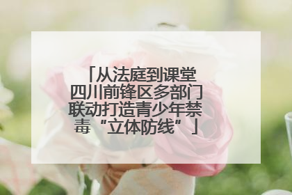 从法庭到课堂 四川前锋区多部门联动打造青少年禁毒“立体防线”