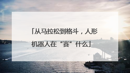 从马拉松到格斗，人形机器人在“赛”什么