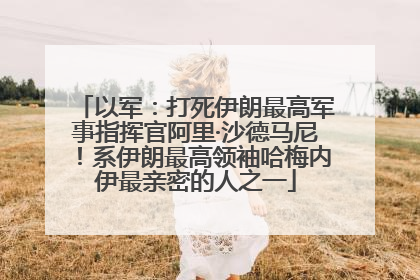 以军：打死伊朗最高军事指挥官阿里·沙德马尼！系伊朗最高领袖哈梅内伊最亲密的人之一