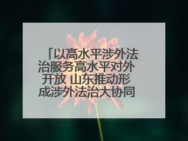 以高水平涉外法治服务高水平对外开放 山东推动形成涉外法治大协同工作格局