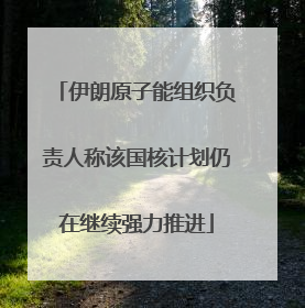 伊朗原子能组织负责人称该国核计划仍在继续强力推进