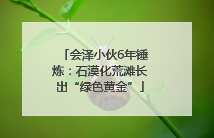 会泽小伙6年锤炼：石漠化荒滩长出“绿色黄金”