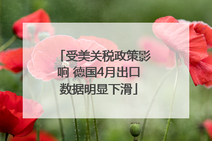 受美关税政策影响 德国4月出口数据明显下滑