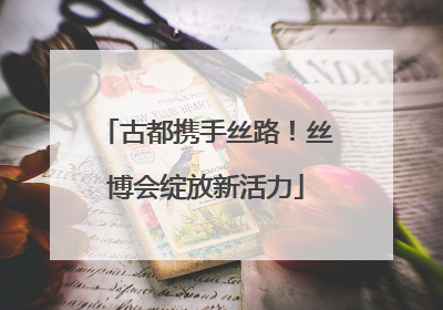 古都携手丝路！丝博会绽放新活力