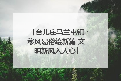 台儿庄马兰屯镇：移风易俗绘新篇 文明新风入人心