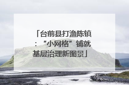 台前县打渔陈镇：“小网格”铺就基层治理新图景