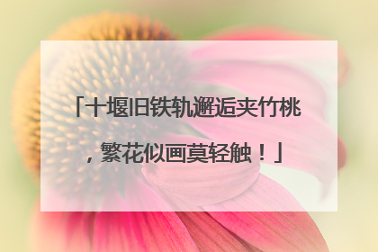 十堰旧铁轨邂逅夹竹桃，繁花似画莫轻触！