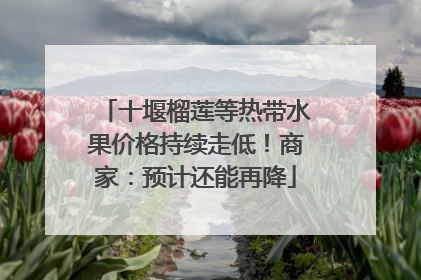 十堰榴莲等热带水果价格持续走低！商家：预计还能再降