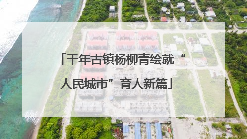 千年古镇杨柳青绘就“人民城市”育人新篇