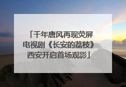 千年唐风再现荧屏 电视剧《长安的荔枝》西安开启首场观影