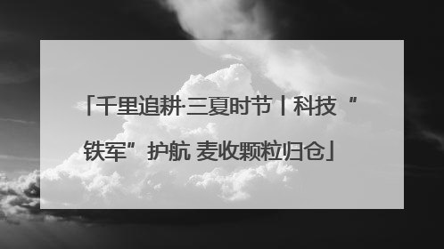 千里追耕·三夏时节丨科技“铁军”护航 麦收颗粒归仓