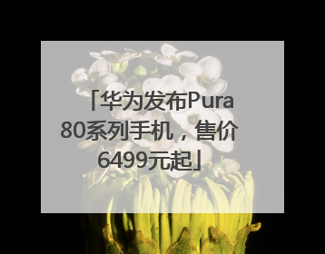 华为发布Pura80系列手机，售价6499元起
