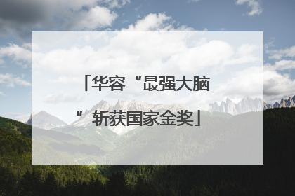 华容“最强大脑”斩获国家金奖