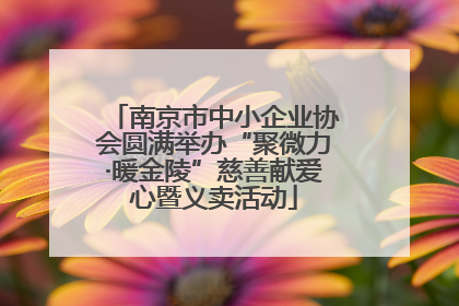 南京市中小企业协会圆满举办“聚微力·暖金陵”慈善献爱心暨义卖活动