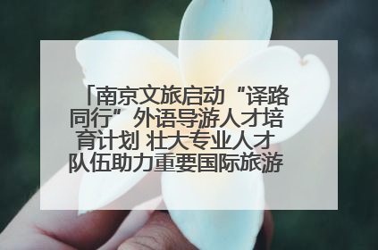 南京文旅启动“译路同行”外语导游人才培育计划 壮大专业人才队伍助力重要国际旅游目的地建设